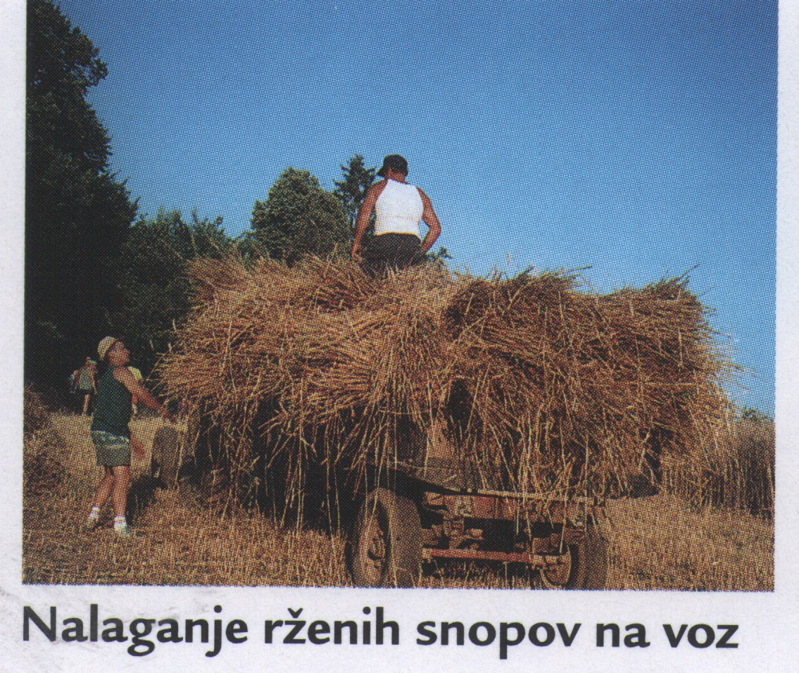 nalaganje_snopov_1995-2004