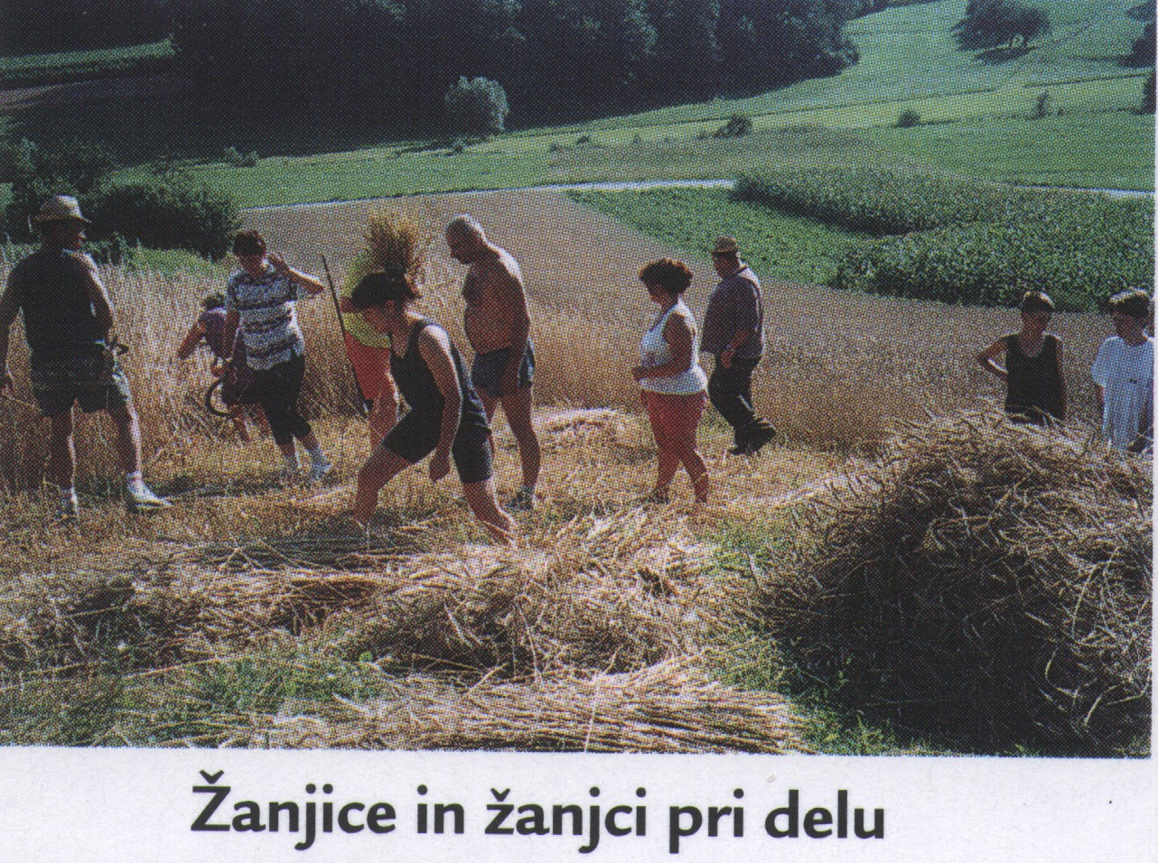 zanjice_pri_delu_1995-2004