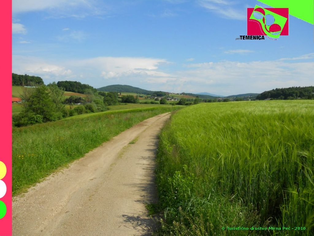 pot Temenica  v smeri Prečne pregled trase