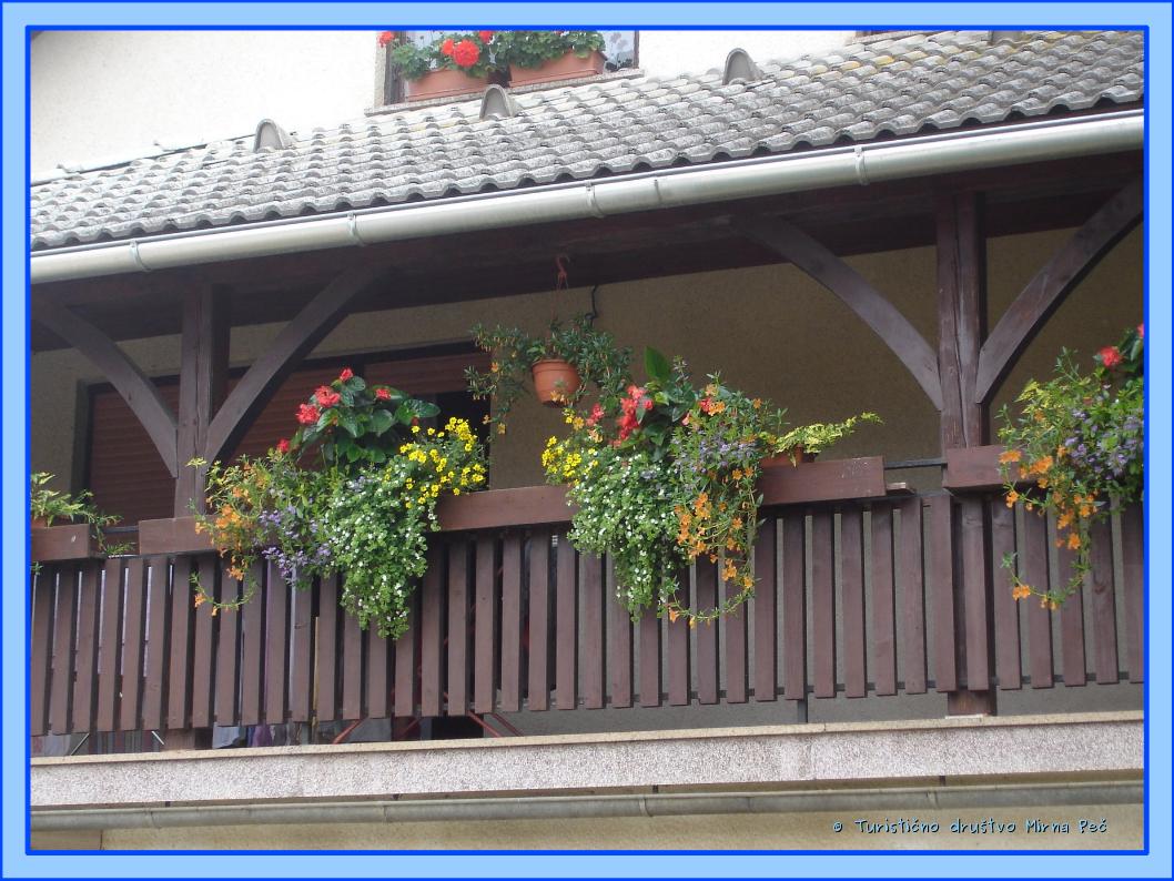Cveto?e rastline na balkonu Pape�evih (foto: oc. komisija)